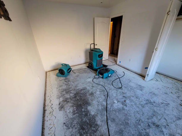 Best Sewage cleanup and water damage restoration  in Sylvan Springs, AL